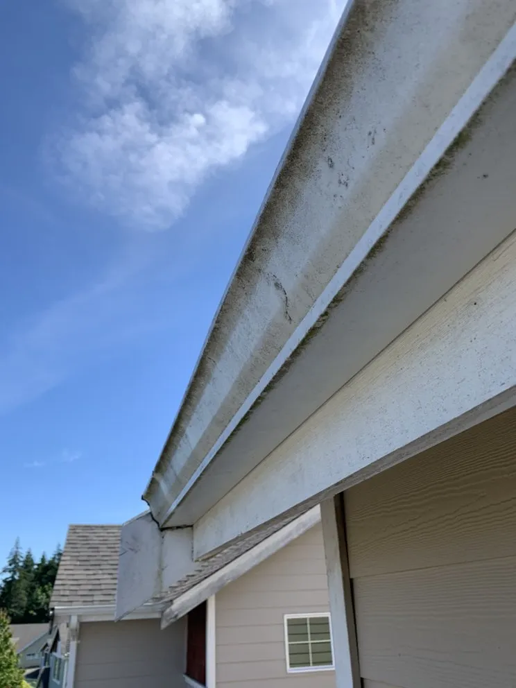 Slide of Spic & Span Windows