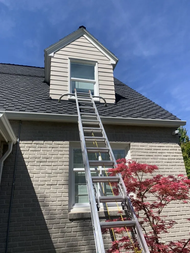 Slide of Spic & Span Windows