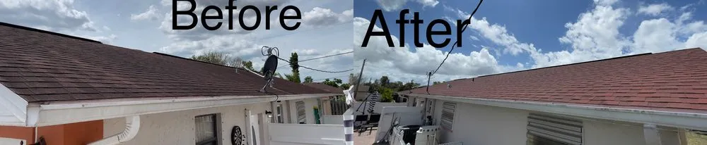 Slide of Spic N Span