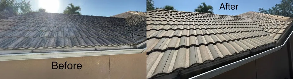 Slide of Spic N Span