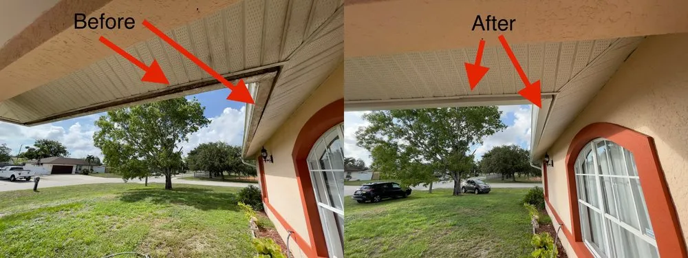 Slide of Spic N Span