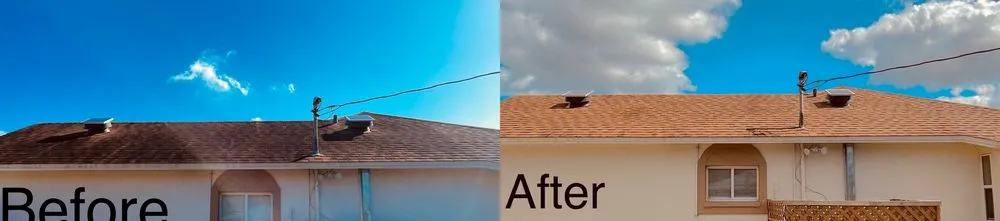 Slide of Spic N Span