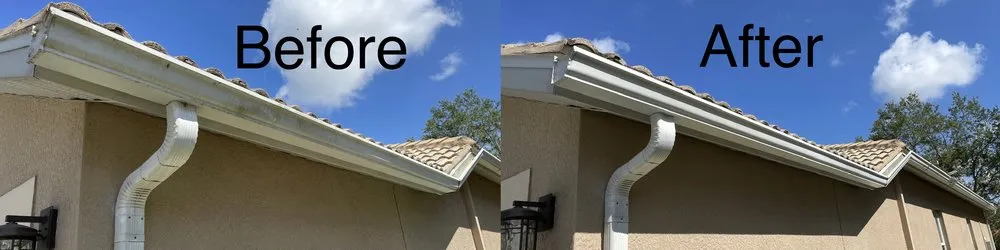 Slide of Spic N Span