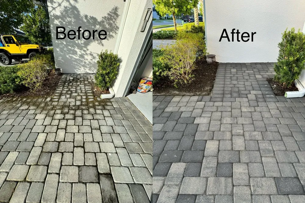 Slide of Spic N Span