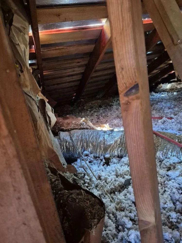 Slide of Spikes Roofing