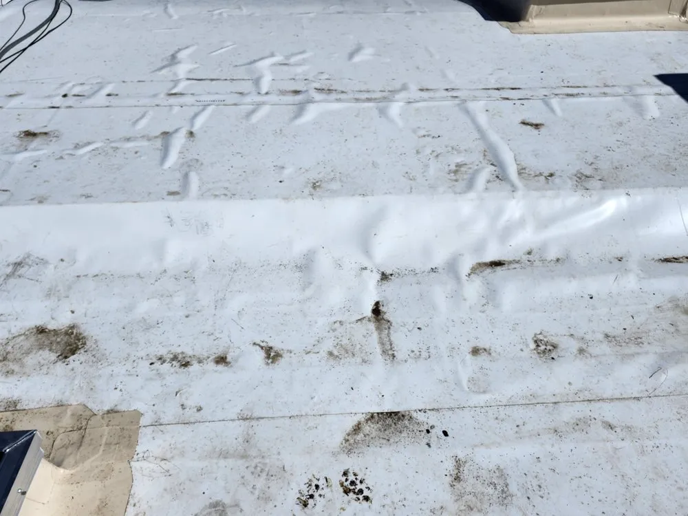 Slide of Splendid Builders