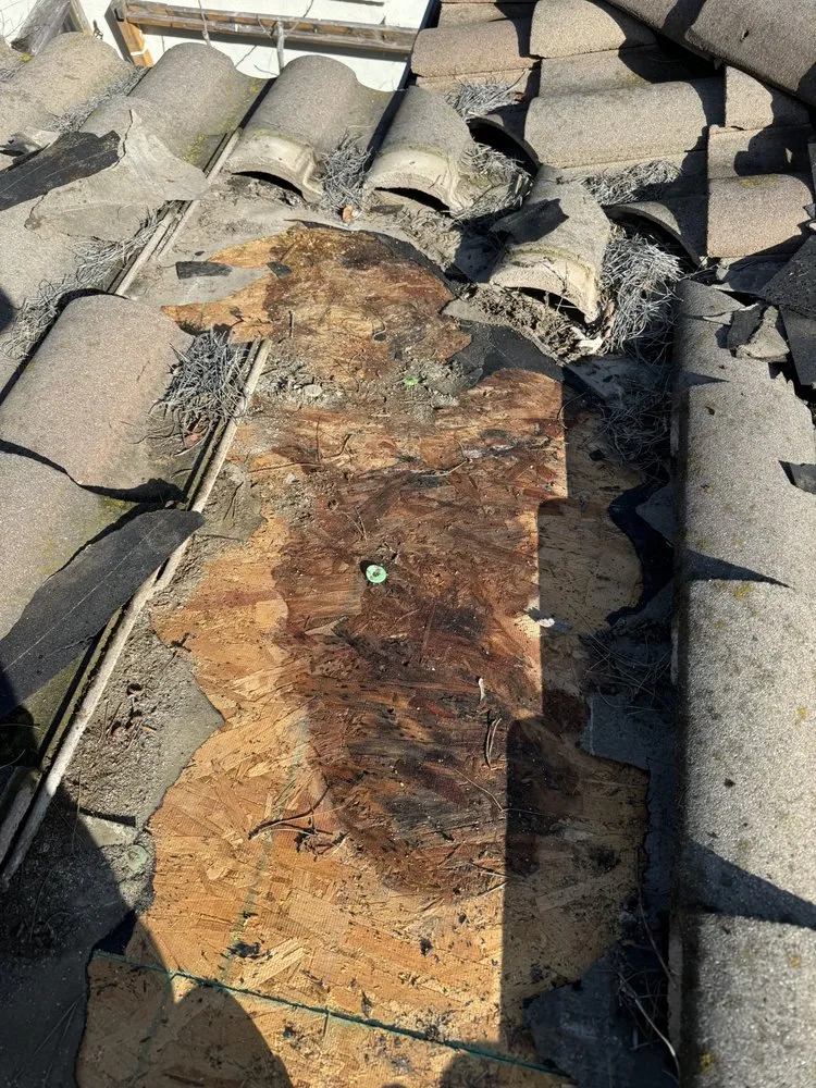 Slide of Spootless Roofing