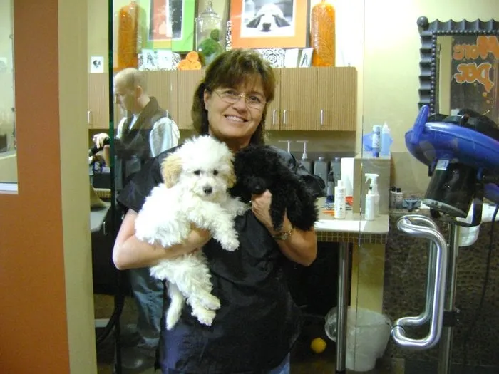 Slide of Spotless Gutter Cleaning & Repair