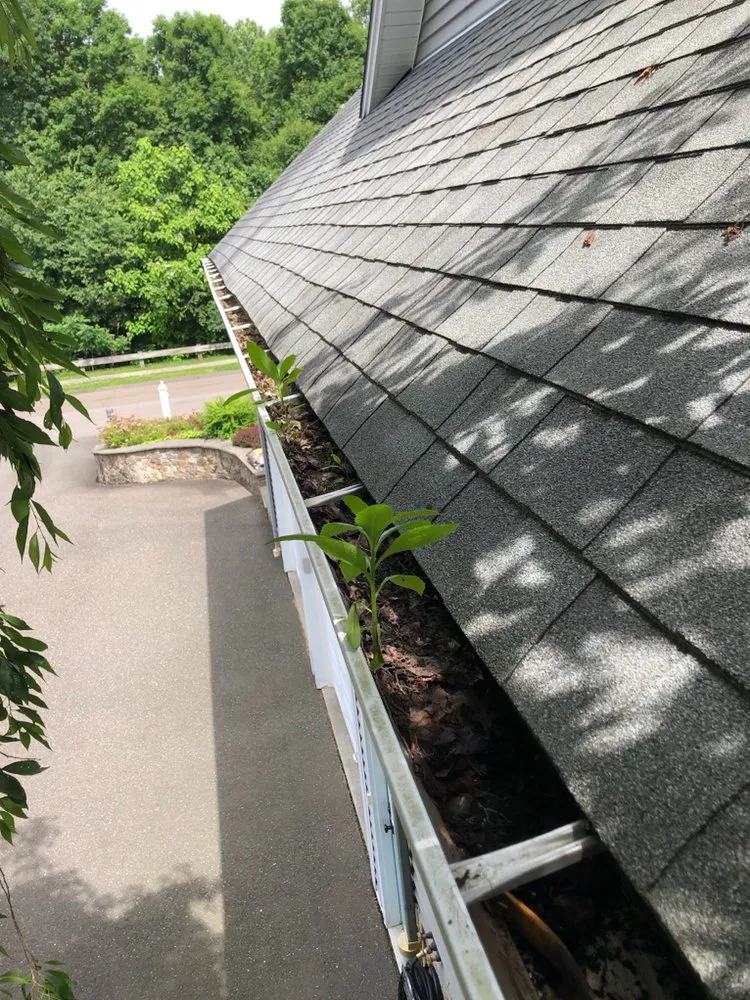 Slide of Spotless Gutter Cleaning Repair & Roof Leaks