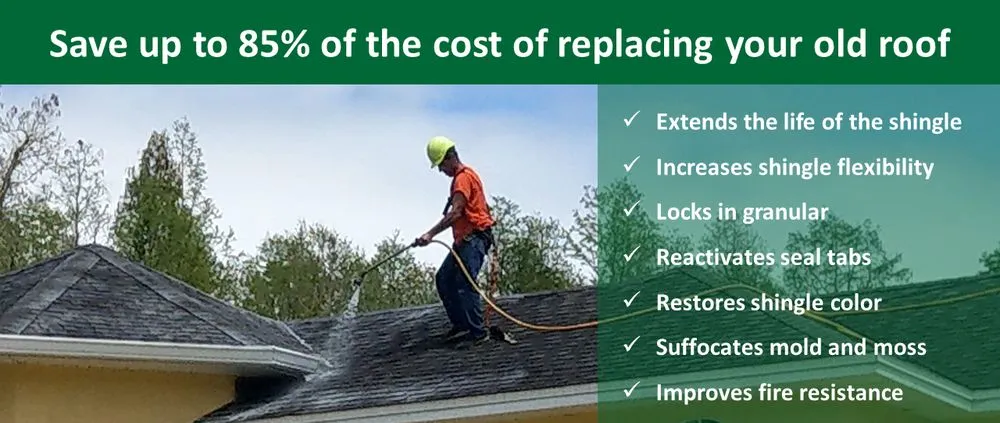 Slide of Spray It Rejuvenate It