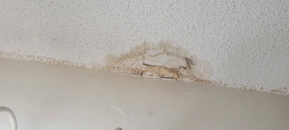 Slide of Sprinter Construction