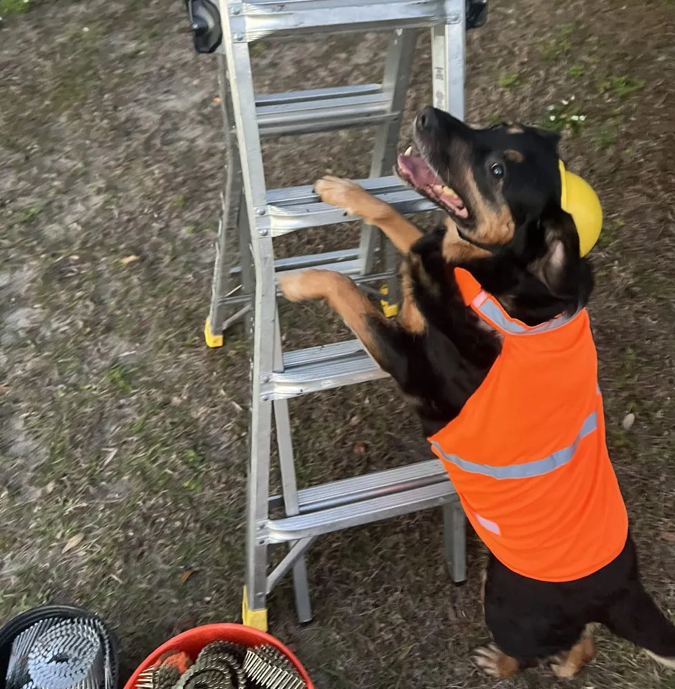 Slide of Sprocket Roofing