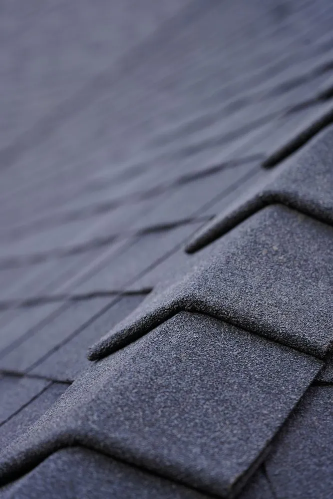 Slide of Spruce Properties