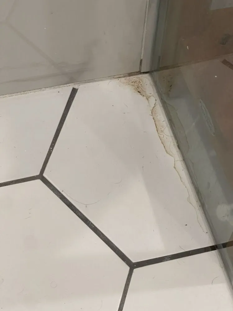 Slide of Spruce Properties