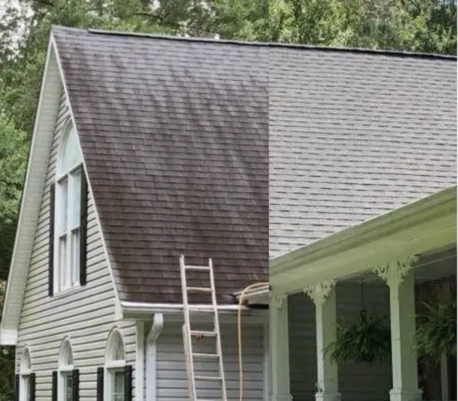 Slide of Spruce Property Maintenance