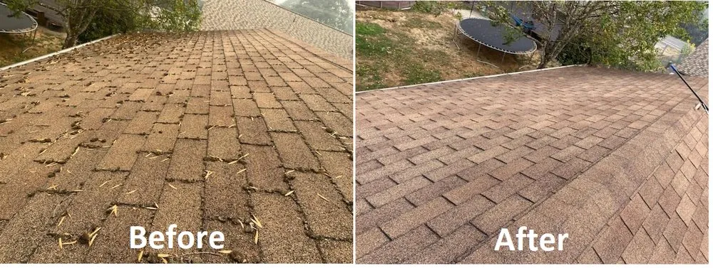 Slide of Spruce Up Northwest