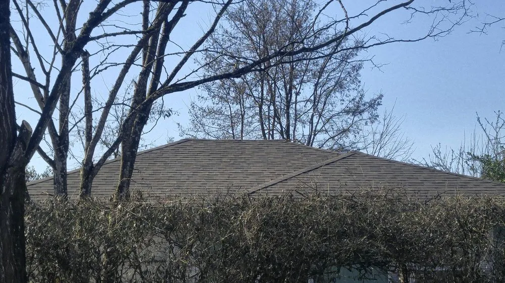 Slide of Spruce Up Northwest