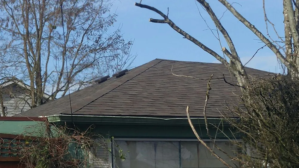 Slide of Spruce Up Northwest