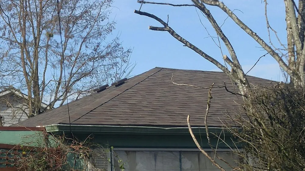 Slide of Spruce Up Northwest