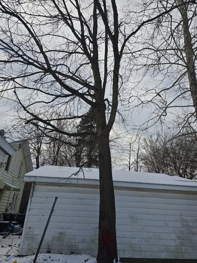 Slide of Spyder Restoration