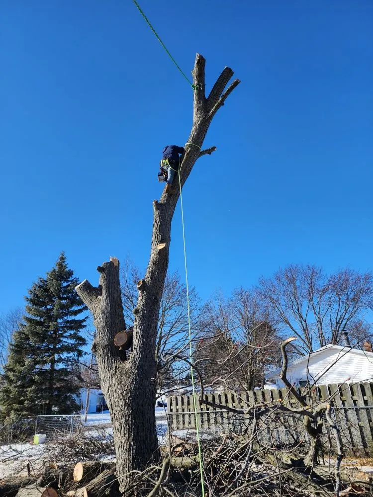 Slide of Spyder Restoration