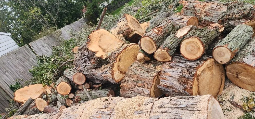 Slide of Spyder Restoration