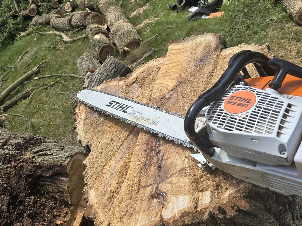 Slide of Spyder Restoration