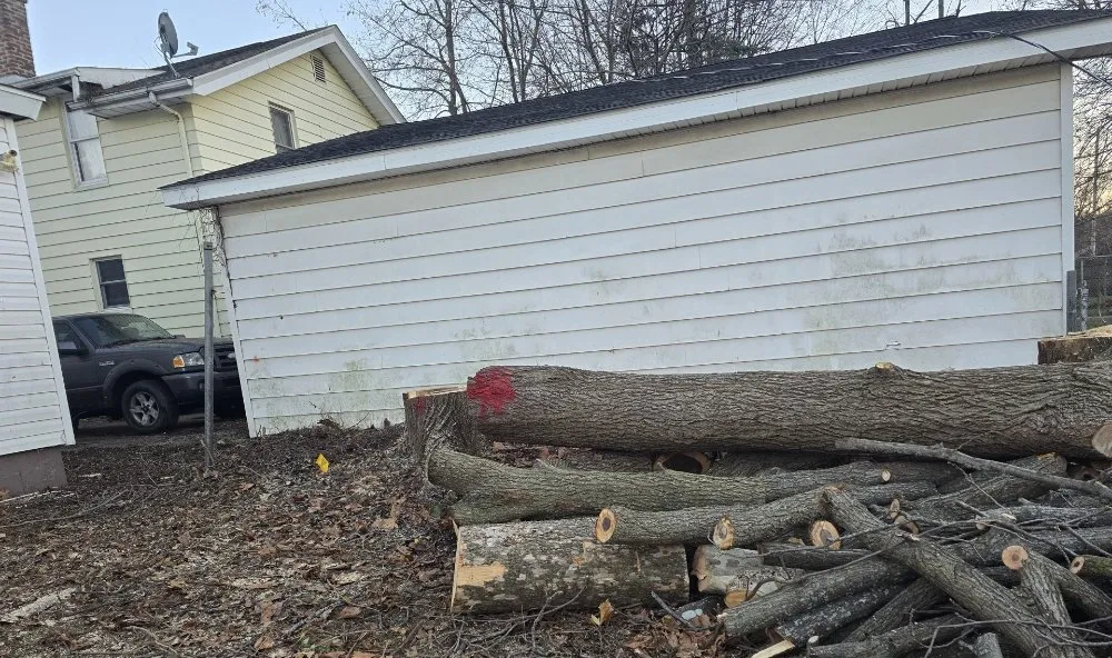 Slide of Spyder Restoration