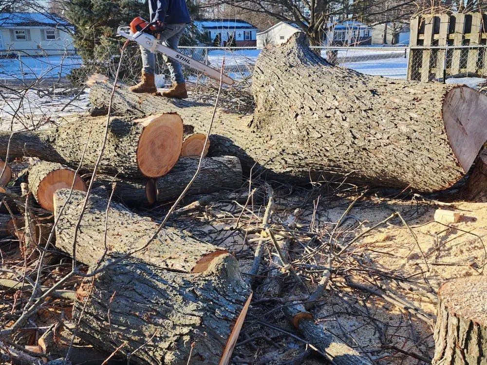 Slide of Spyder Restoration