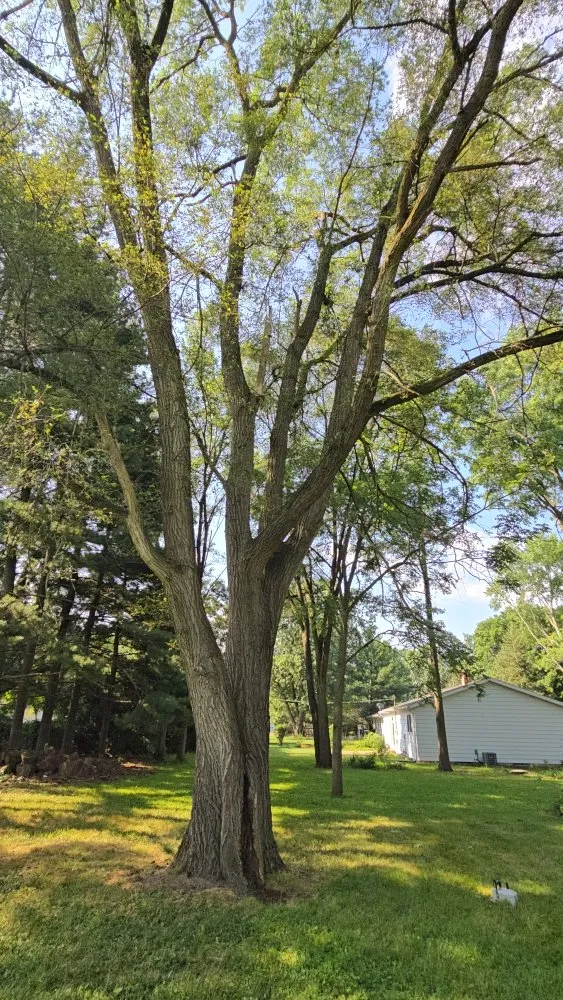 Slide of Spyder Restoration