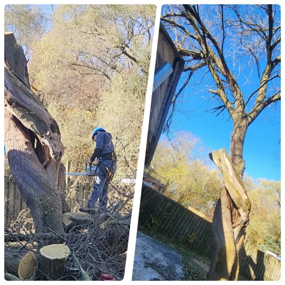 Slide of Spyder Restoration