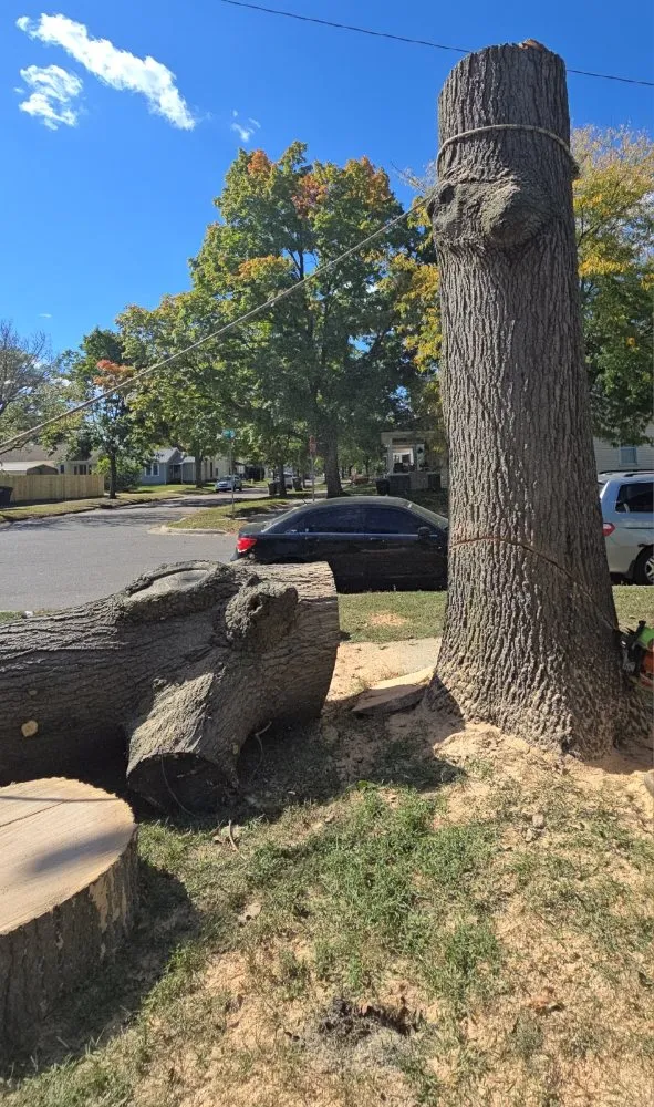 Slide of Spyder Restoration