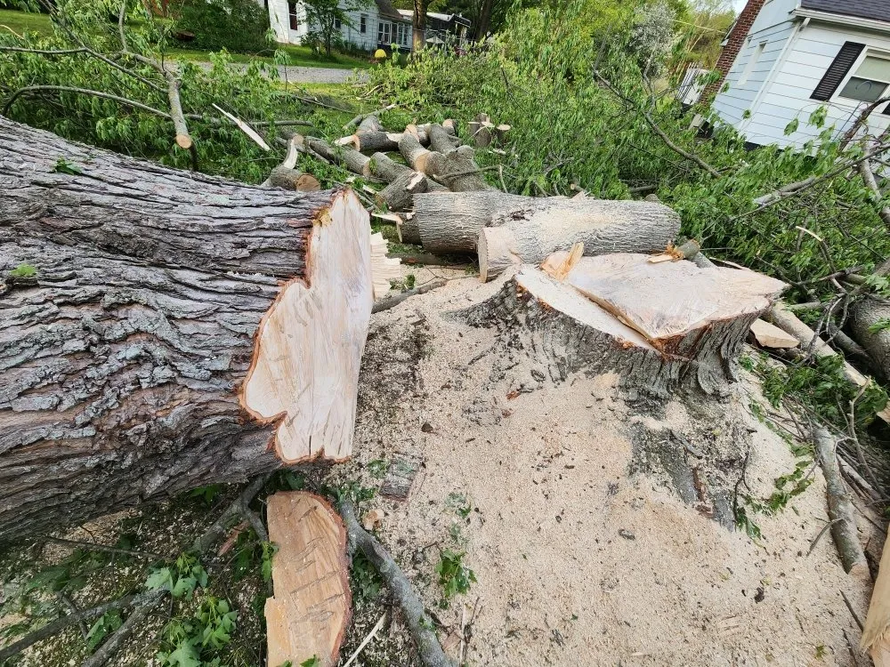 Slide of Spyder Restoration