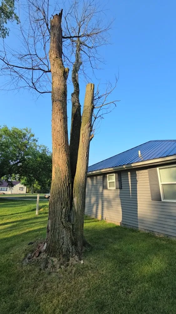 Slide of Spyder Restoration