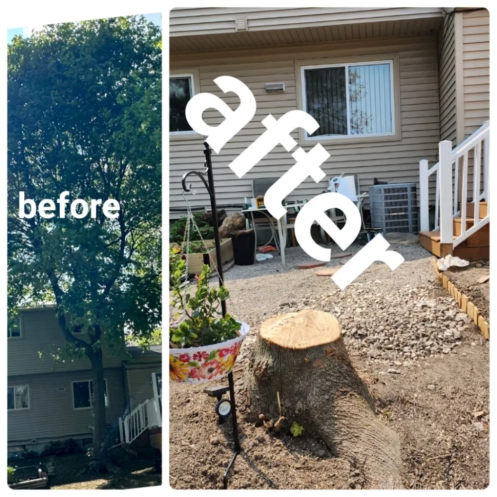 Slide of Spyder Restoration