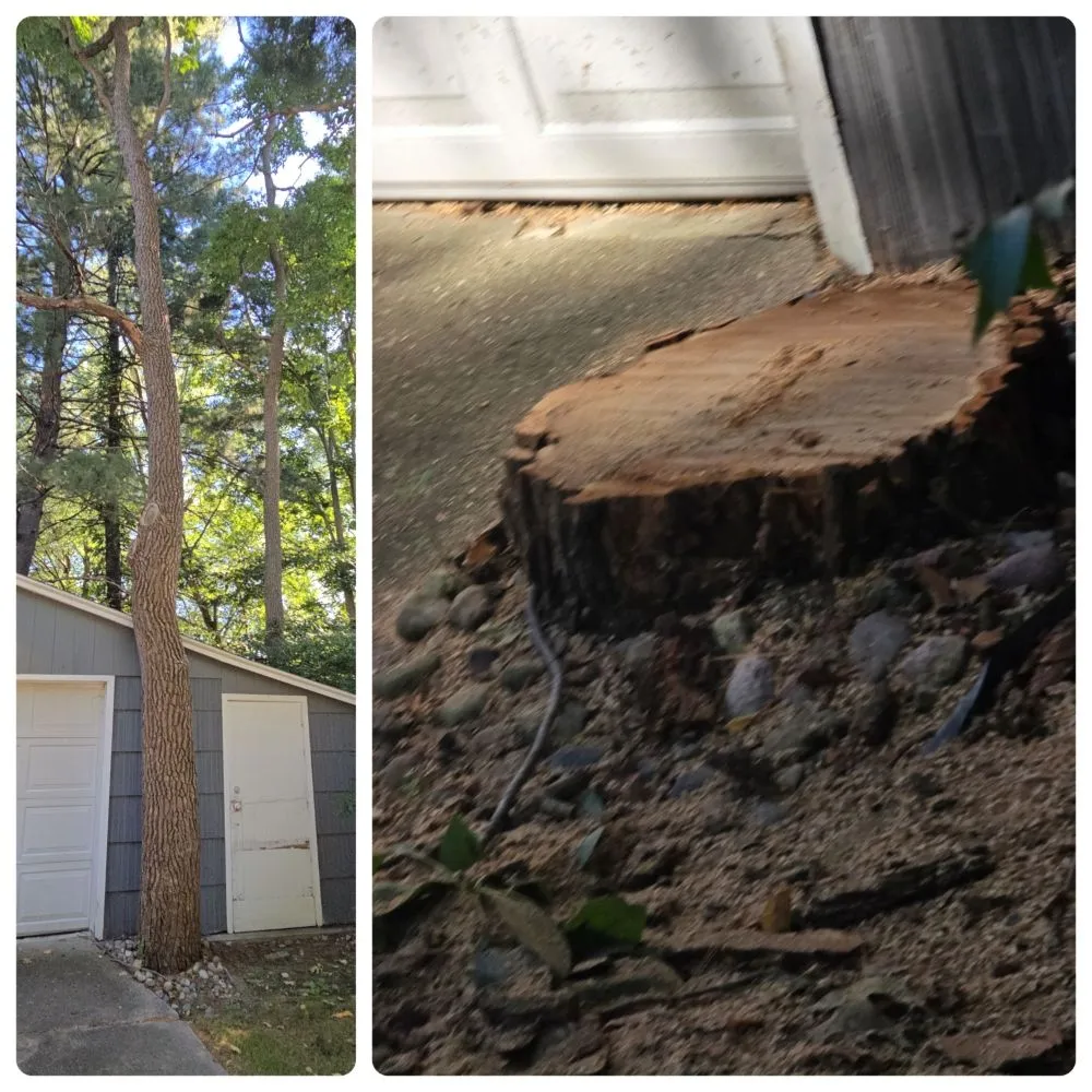 Slide of Spyder Restoration