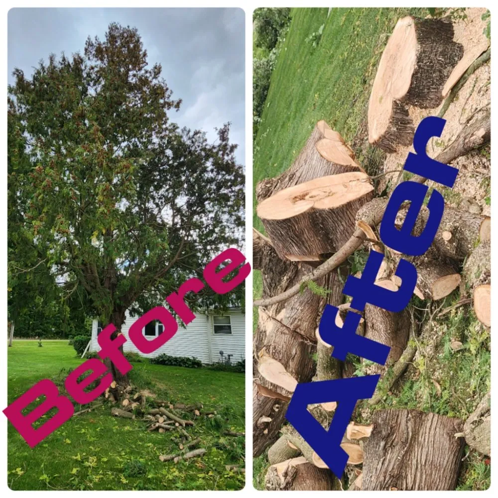 Slide of Spyder Restoration