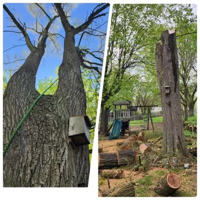 Spyder Restoration Logo