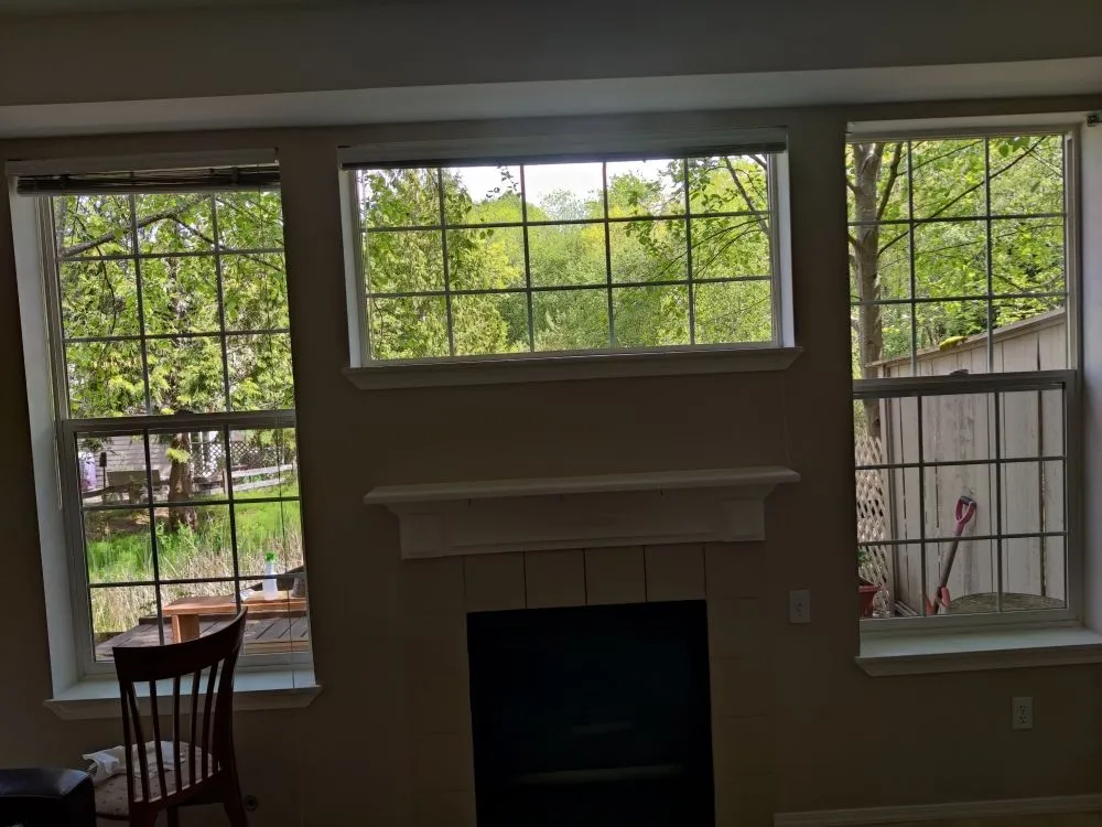 Slide of Squeagy Clean Windows