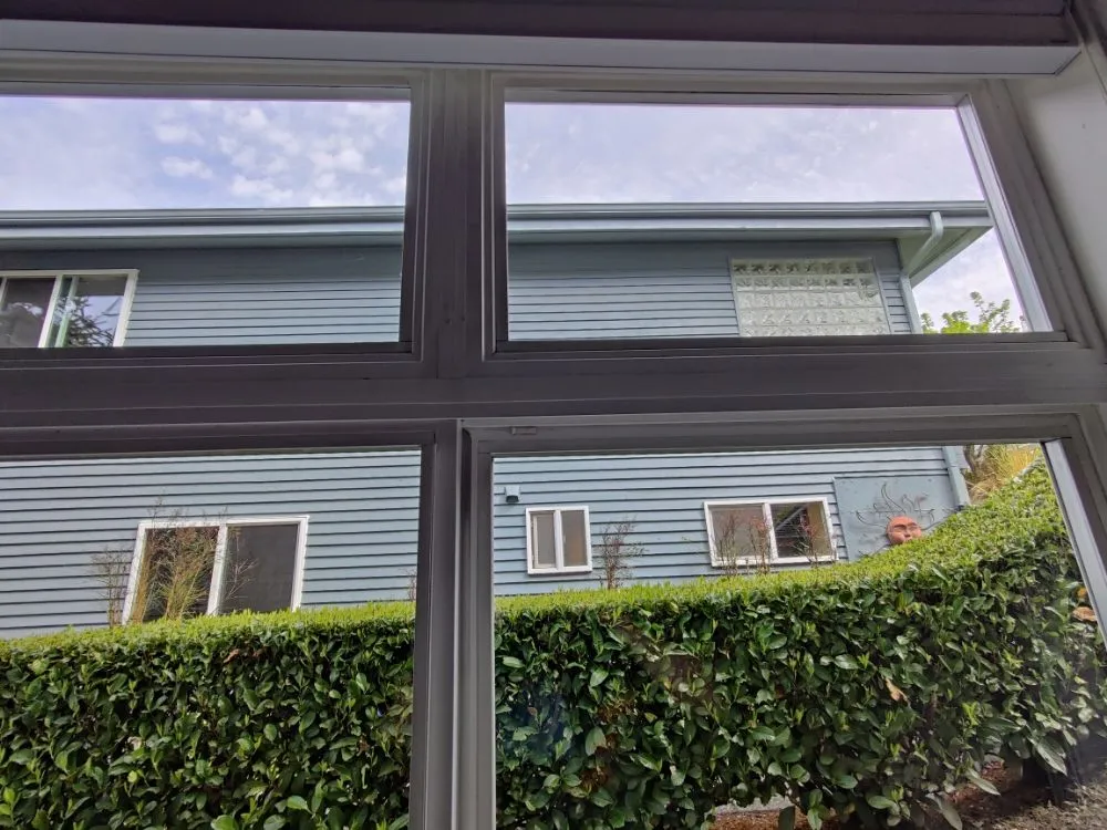 Slide of Squeagy Clean Windows