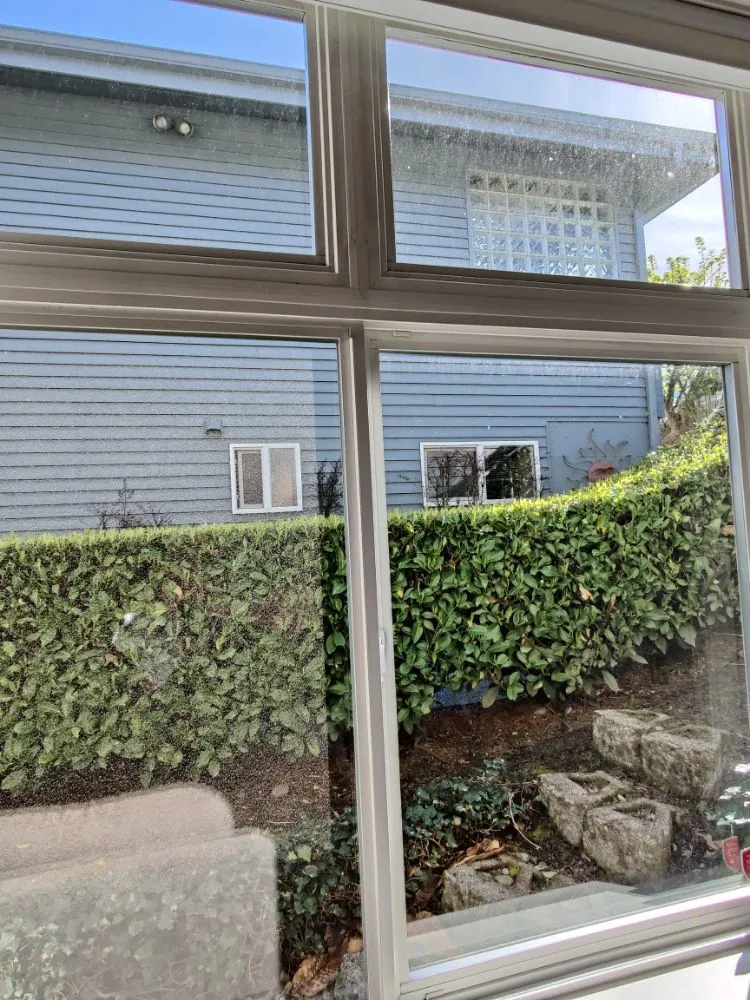 Slide of Squeagy Clean Windows