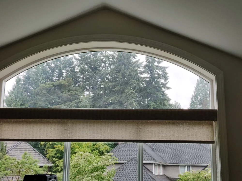 Slide of Squeagy Clean Windows