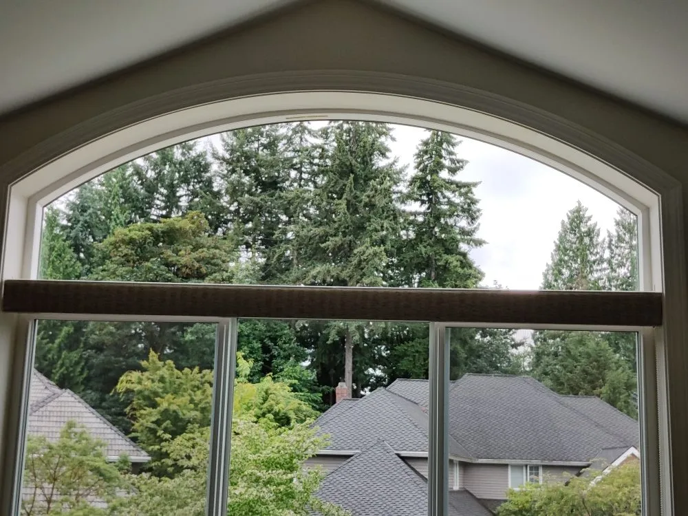 Slide of Squeagy Clean Windows