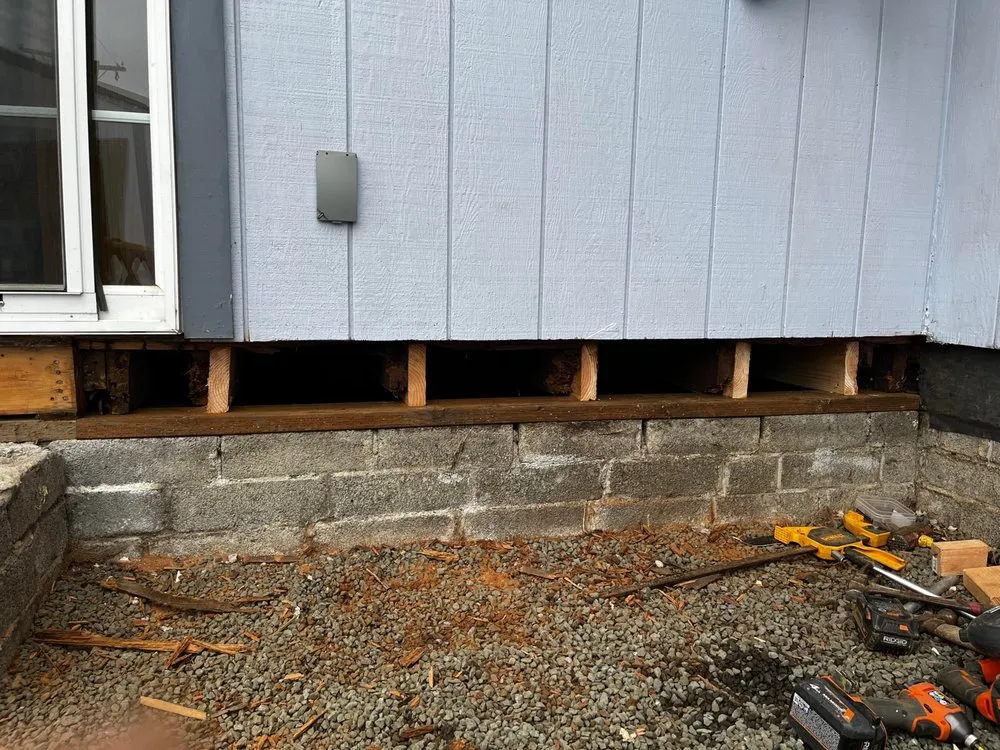 Slide of Squid Construction