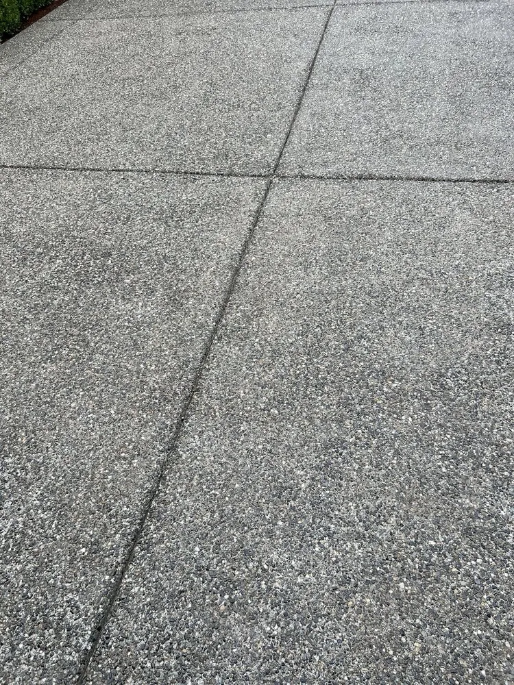 Slide of Srs Platinum Services