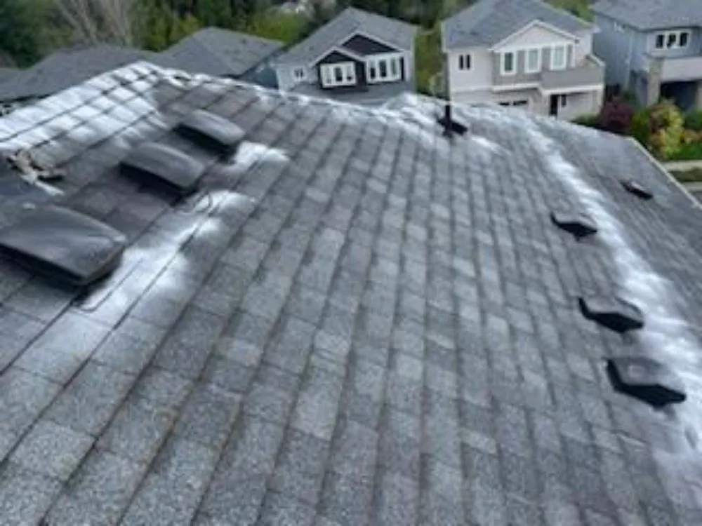 Slide of Srs Platinum Services