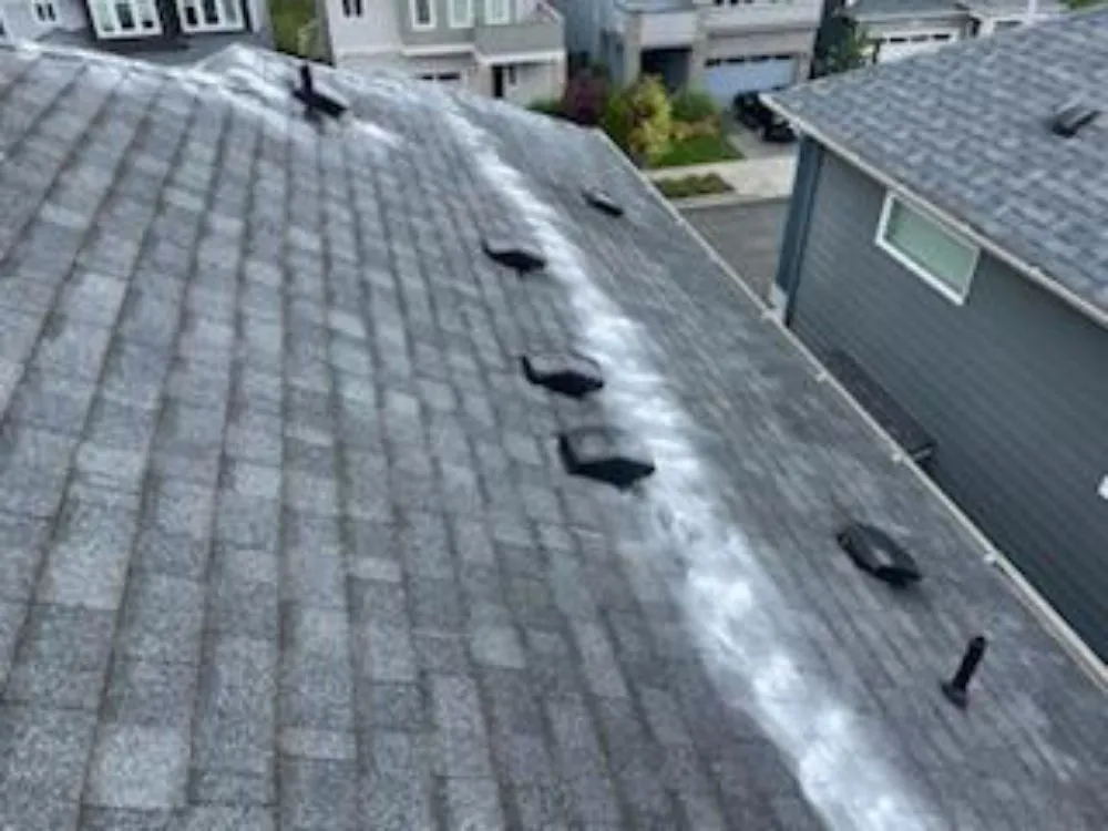 Slide of Srs Platinum Services