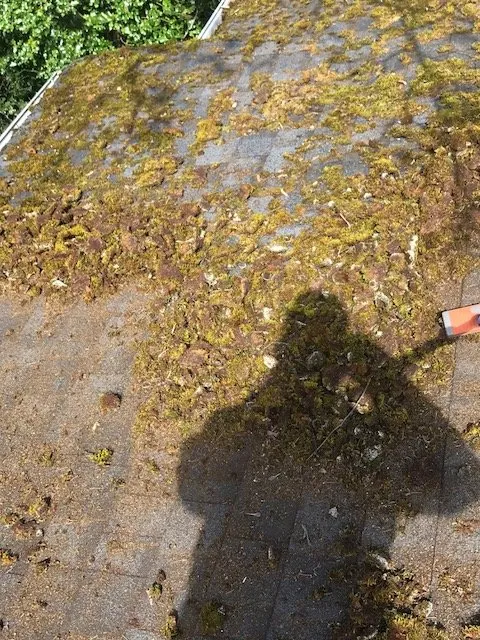 Slide of Srs Platinum Services