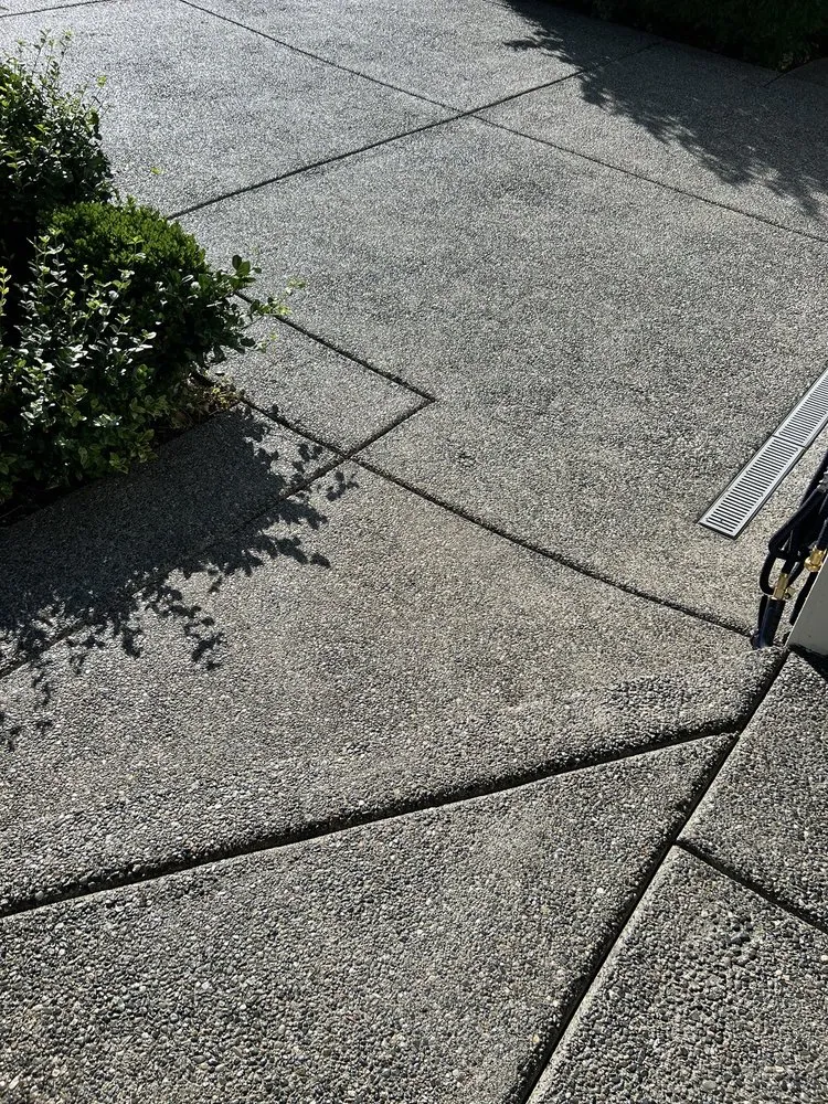 Slide of Srs Platinum Services