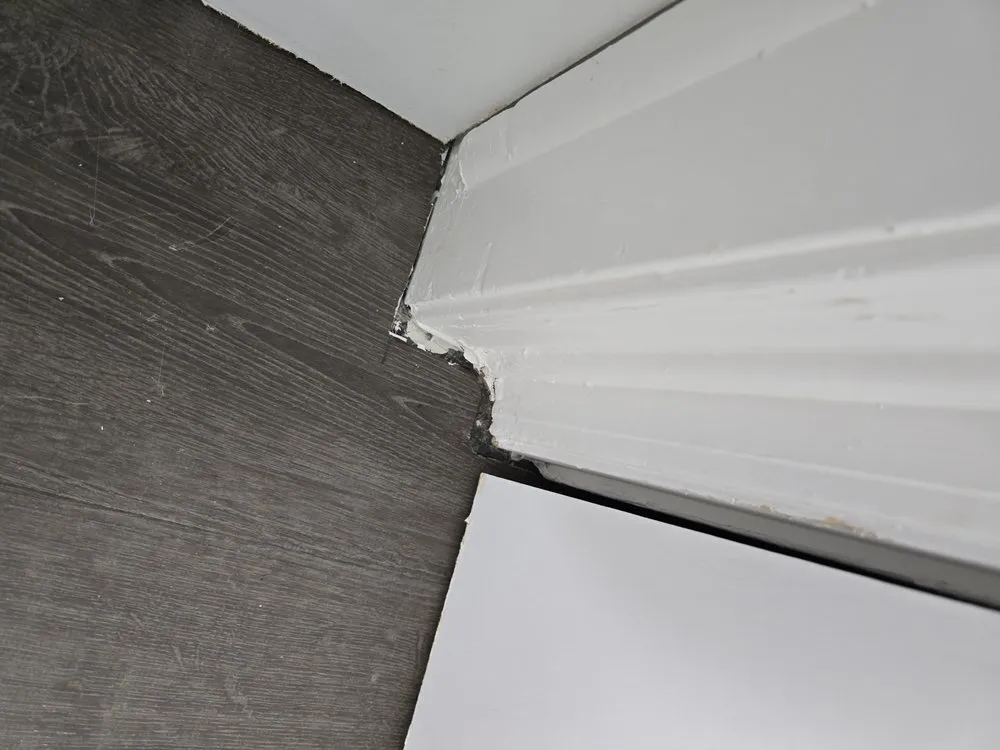 Slide of S&S Property Preservation